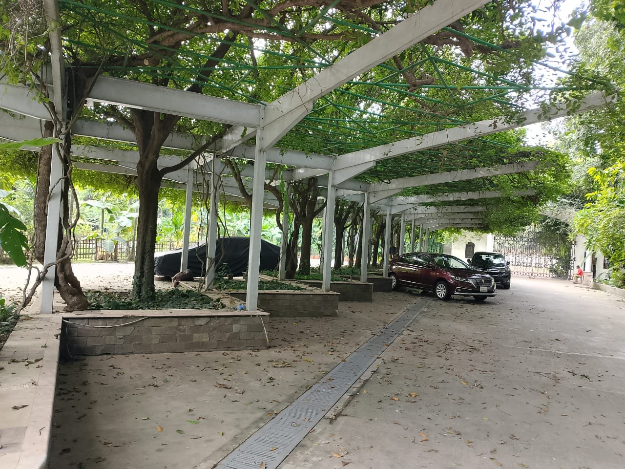 Pergola Carport Walkway at Bulbul Event Spaces